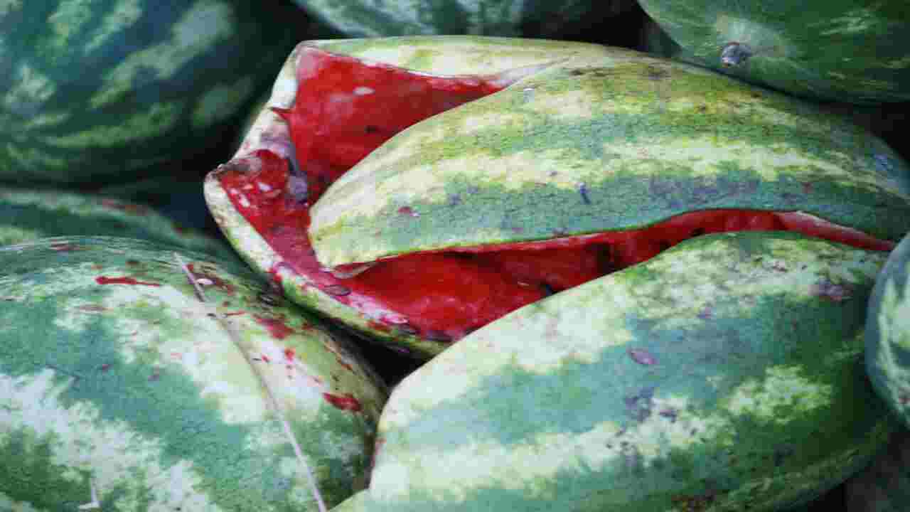 How To Get Rid Of Rotten Smell Of Watermelon