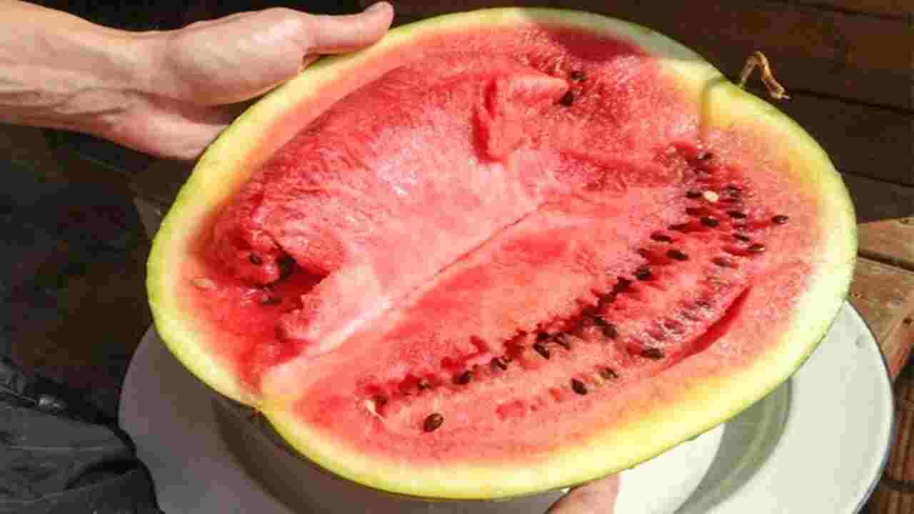 Signs Of Spoilage In A Watermelon