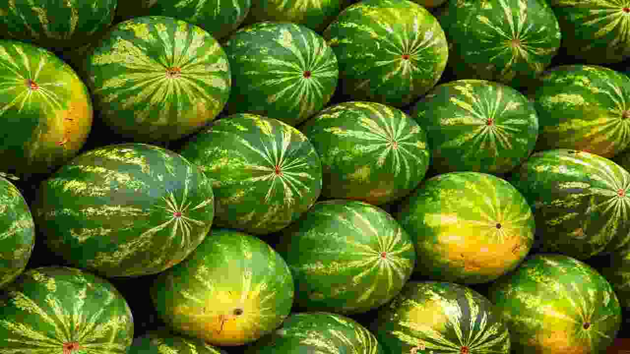 Tips For Choosing A Sweet And Flavorful Watermelon