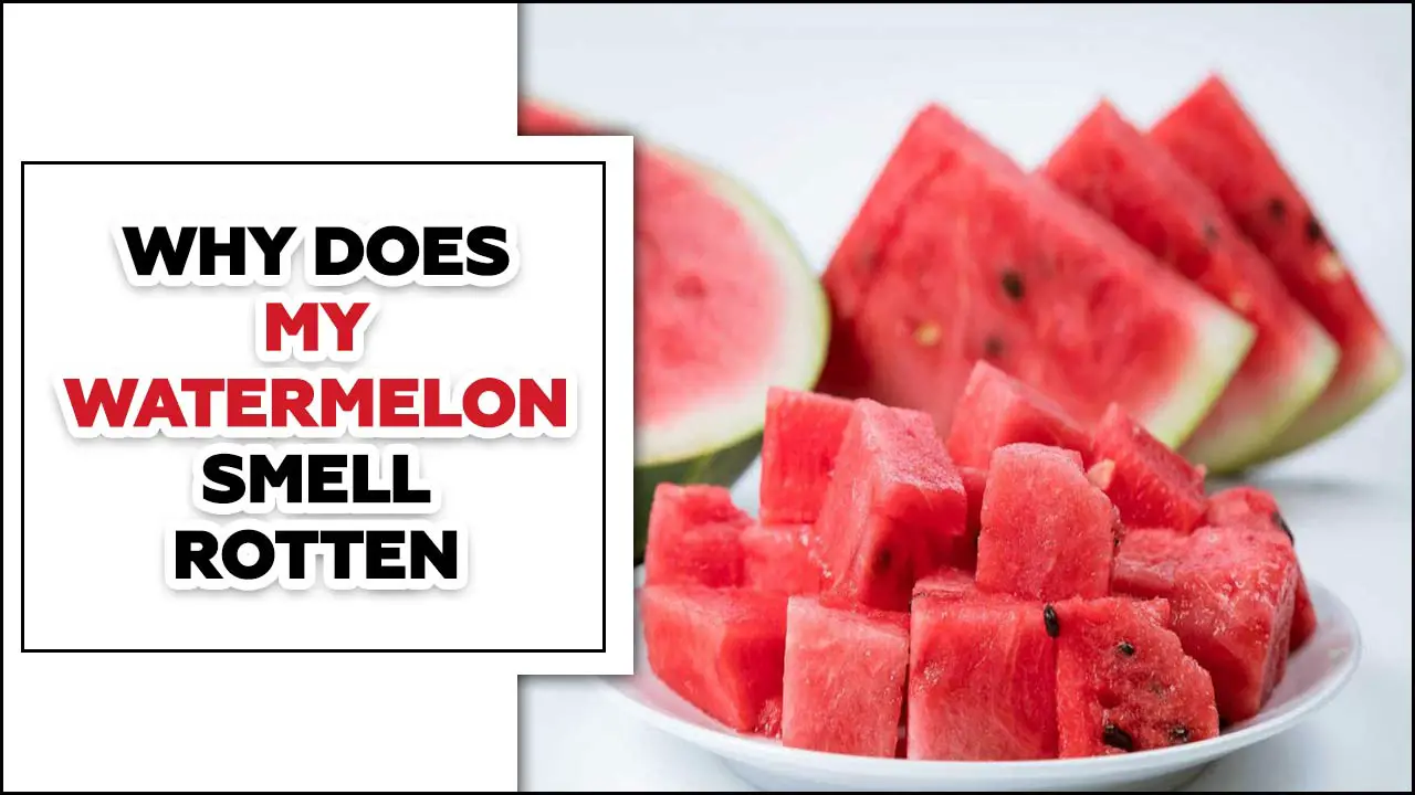 Why Does My Watermelon Smell Rotten